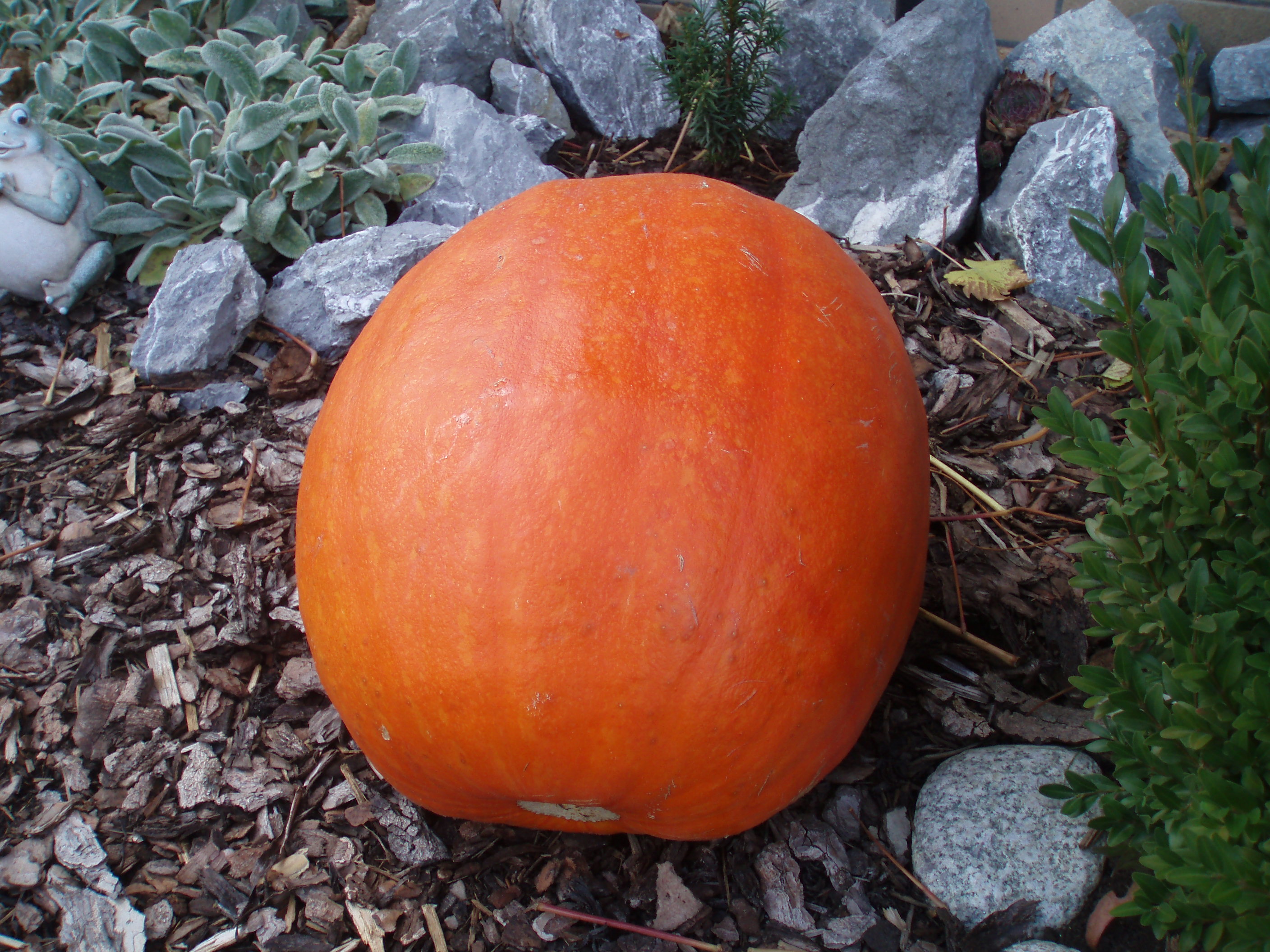 PA310004.JPG